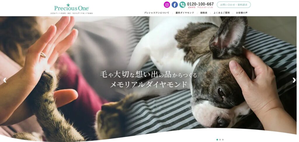 プレシャスワン